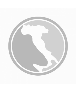 Печенье Regina cавоярди 400 г Печенье Regina cавоярди 400 г