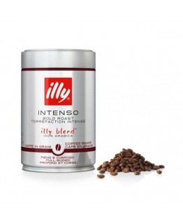 Кофе в зернах Illy espresso gusto intenso 100% арабика 250 г (ж / б)