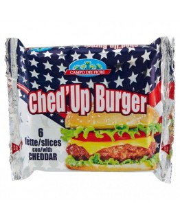 Сыр мягкий Campo del fiori Ched Up Burger 150г